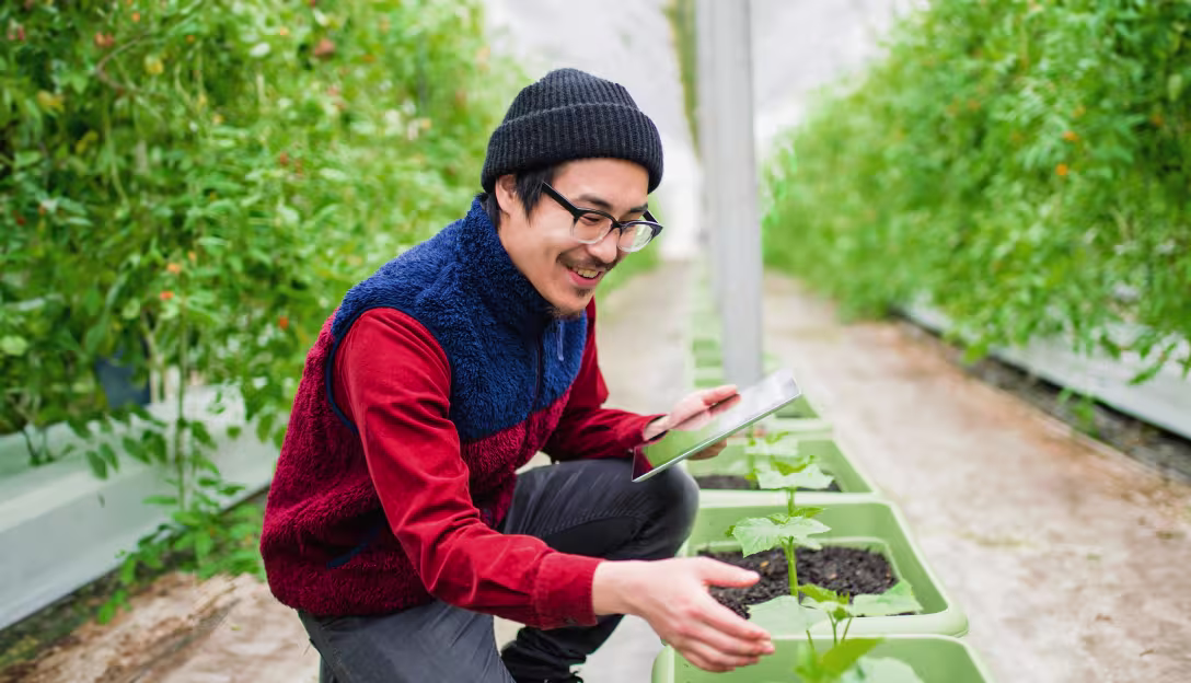 Licenciatura en Horticultura (B.Sc.)